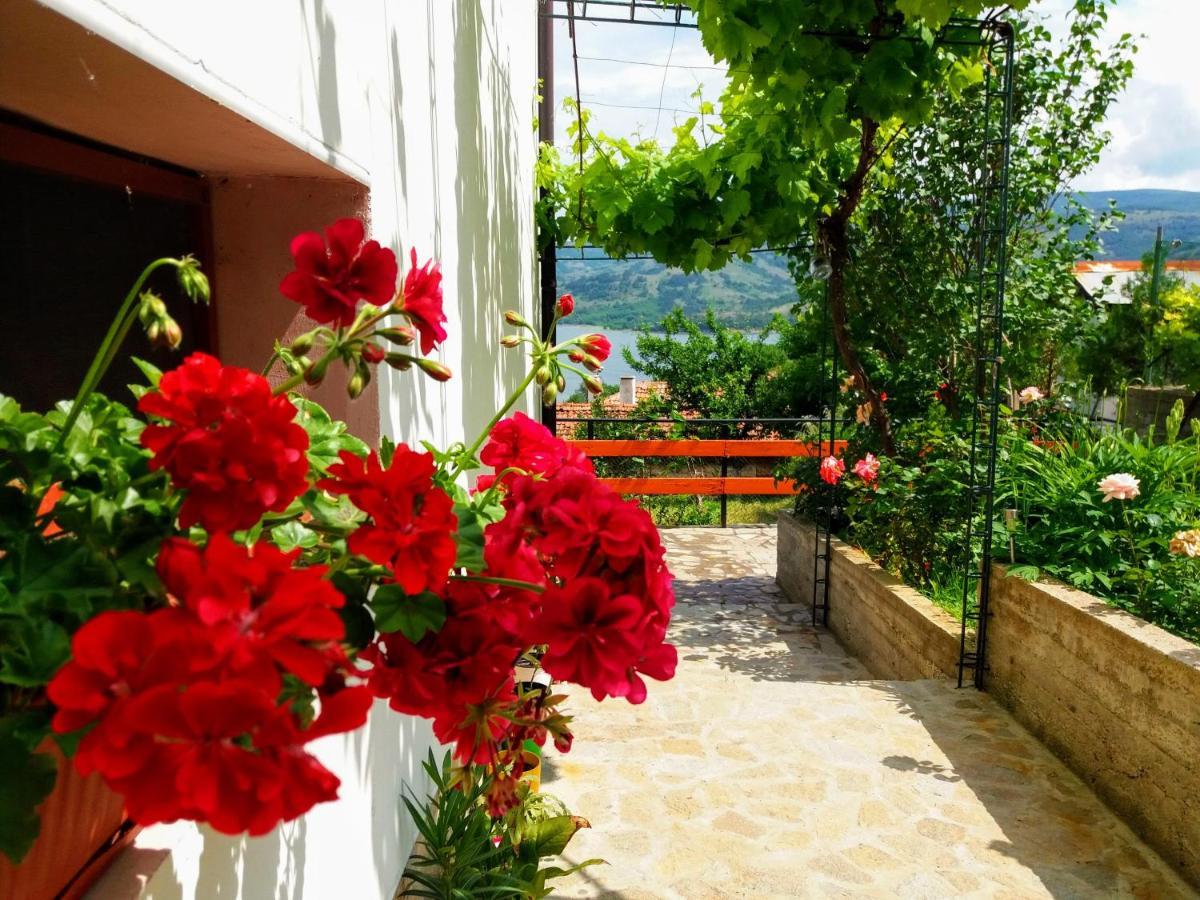 Mihaela Lake Retreat Gnyazdovo Экстерьер фото